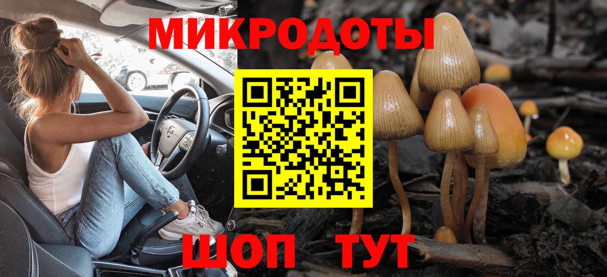 Галлюциногенные грибы мицелий Барнаул